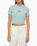 25684938_replace-dickies-maple-valley-dk0a4xpoj591-blue-surf_1_p.jpg