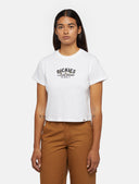 25700325_ai-2024-dickies-companion-w-tee-dk0a863k0wh1.jpg