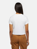 25700325_ai-2024-dickies-companion-w-tee-dk0a863k0wh1_1_p.jpg