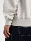25806307_ai-2025-dickies-summerdale-sweatshirt-dk0a4y6qa281-light-grey_5_p.jpg