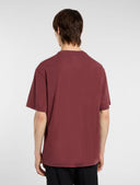 26149159_ai-2025-dickies-plentywood-tee-dk0a866bl161andorra_2_p.jpg