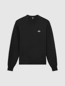 26157116_ai-2025-dickies-summerdale-dk0a87opblk1black.jpg