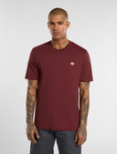 26357624_replace-dickies-mapleton-tee-ss-dk0a4xdbl161-andorra.jpg