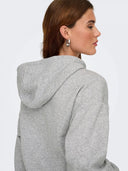 26362546_ai-2026-only-15317985-sweat-hoodielight-grey-melange_2_p.jpg