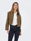 26440556_ai-2025-only-15349187-cavabistre-collar-chocolate.jpg