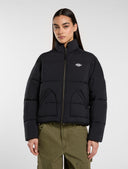 27195503_ai-2025-dickies-summerdale-puffer-w-dk0a87ojblk1black.jpg