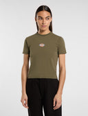 27916985_pe-2025-dickies-maple-valley-reg-tee-dk0a4zaomgr1military.jpg