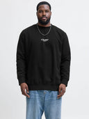 29240849_ai-2025-jackjones-12284612-soho-sweat-crewblack_1_p.jpg