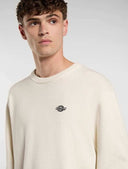29257763_ai-2025-dickies-summerdale-sweatshirt-dk0a4y6qc481-egret_3_p.jpg