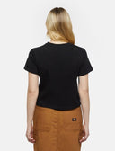29474266_ai-2024-dickies-companion-w-tee-dk0a863kblk1-black_1_p.jpg