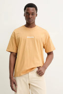 29856628_replace-dickies-enterprise-tee-dk0a4yrnk411-oak-buff.jpg
