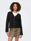 29885253_ai-2025-only-15358596-hazelblack.jpg