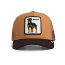 7025601_pe-2026-goorin-bros-101-2538-bad-boy-truckerheatground_1_p.jpg