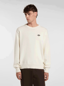 maglie-uomo-dickies-summerdale-sweatshirt-dk0a4y6q-c481-egret_202510201153507668.png