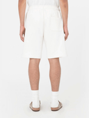 shorts-e-bermuda-uomo-dickies-mapleton-short-dk0a4y83-ecr1-wcru_202508121143042130.png
