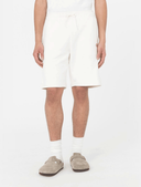 shorts-e-bermuda-uomo-dickies-mapleton-short-dk0a4y83-ecr1-wcru_202508121143048889.png