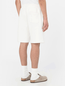 shorts-e-bermuda-uomo-dickies-mapleton-short-dk0a4y83-ecr1-wcru_202508121143053017.png