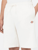 shorts-e-bermuda-uomo-dickies-mapleton-short-dk0a4y83-ecr1-wcru_202508121143067620.png