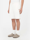 shorts-e-bermuda-uomo-dickies-mapleton-short-dk0a4y83-ecr1-wcru_202508121143069835.png