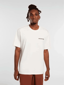 t-shirt-uomo-dickies-graphic-tee-ss-8-dk0a4z8v-c481-egret_202507301052531936.png