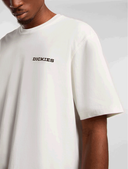 t-shirt-uomo-dickies-graphic-tee-ss-8-dk0a4z8v-c481-egret_202507301052547438.png