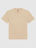 t-shirt-uomo-dickies-luray-dk0a4yfc-f951-irish-cream_202507291208246325.png