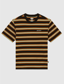 t-shirt-uomo-dickies-york-stripe-dk0a87qvblk1-black_202507291205323762.png